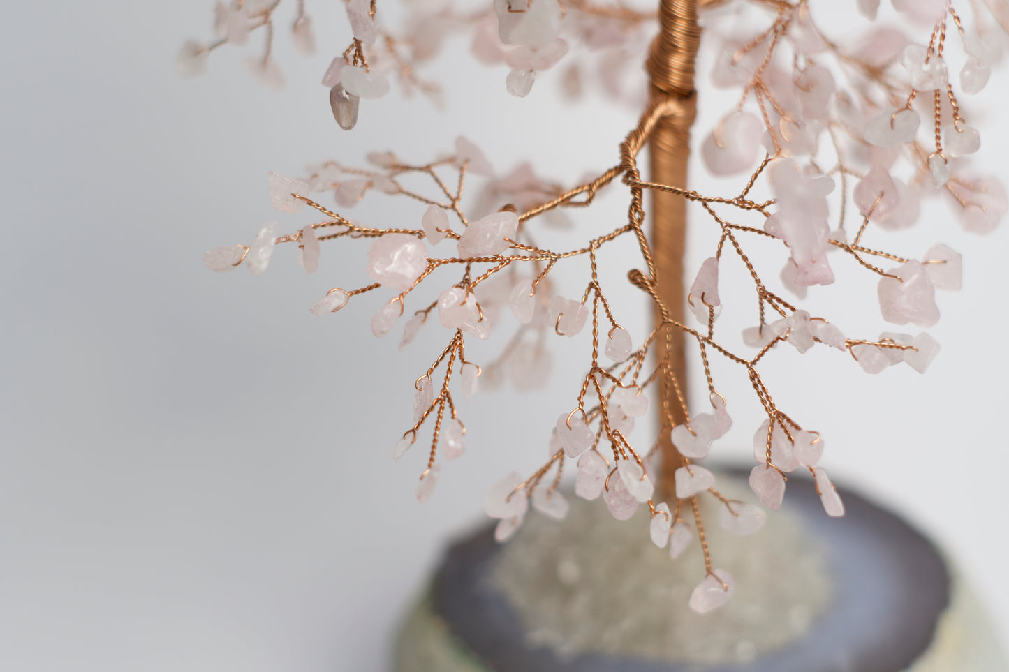 LG MONEY TREE | ROSE QUARTZ | G107