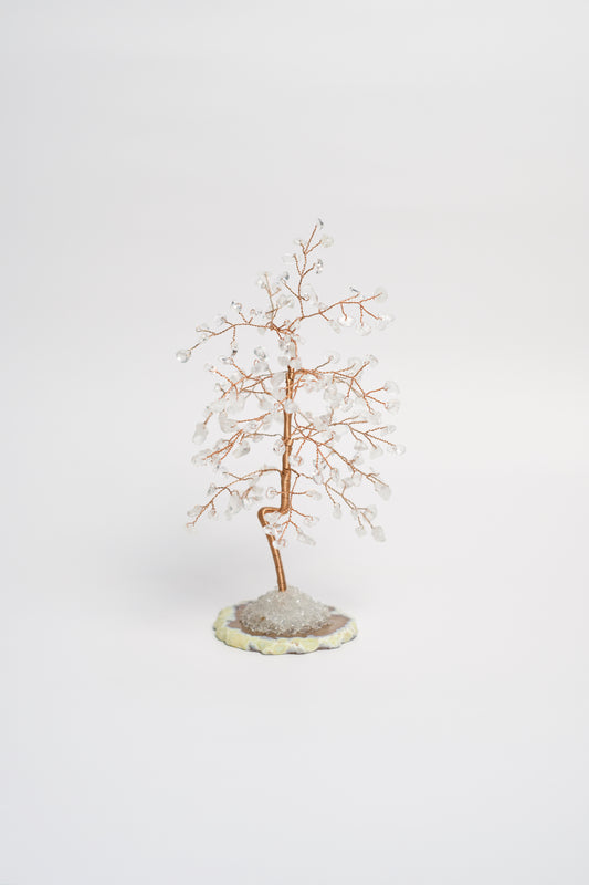 SM MONEY TREE | CLEAR QUARTZ | G129