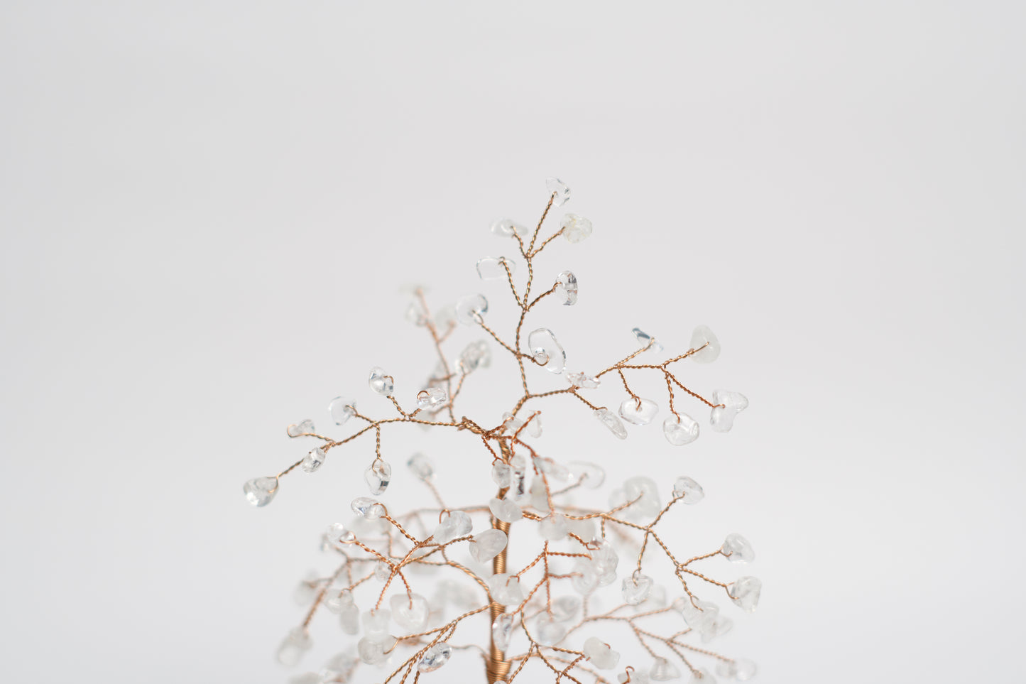 SM MONEY TREE | CLEAR QUARTZ | G129