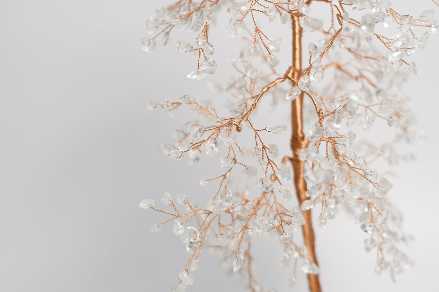 LG MONEY TREE | CLEAR QUARTZ | G106