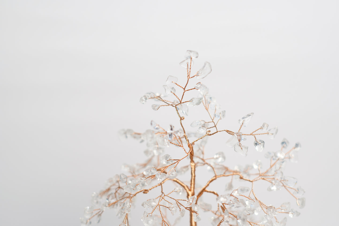 LG MONEY TREE | CLEAR QUARTZ | G106