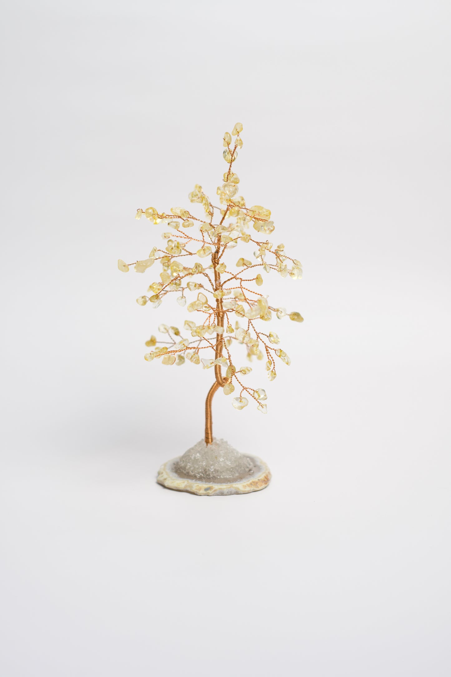 SM MONEY TREE | CITRINE | G128