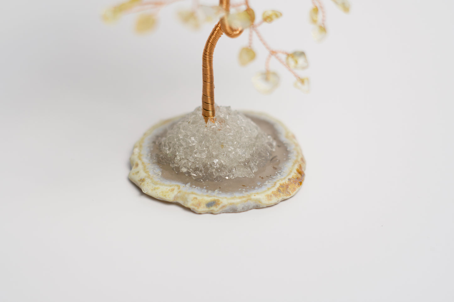 SM MONEY TREE | CITRINE | G128