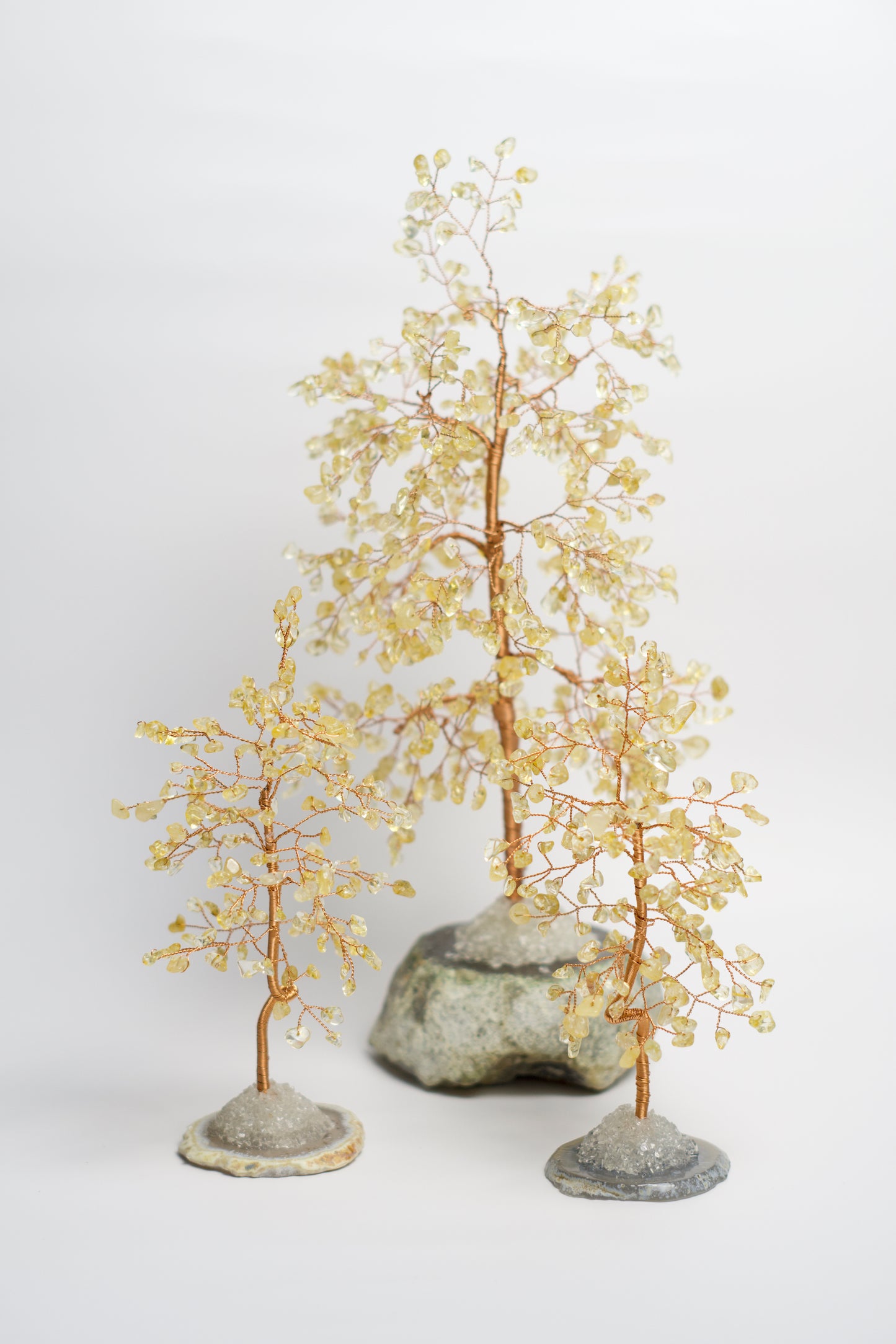 LG MONEY TREE | CITRINE | G105