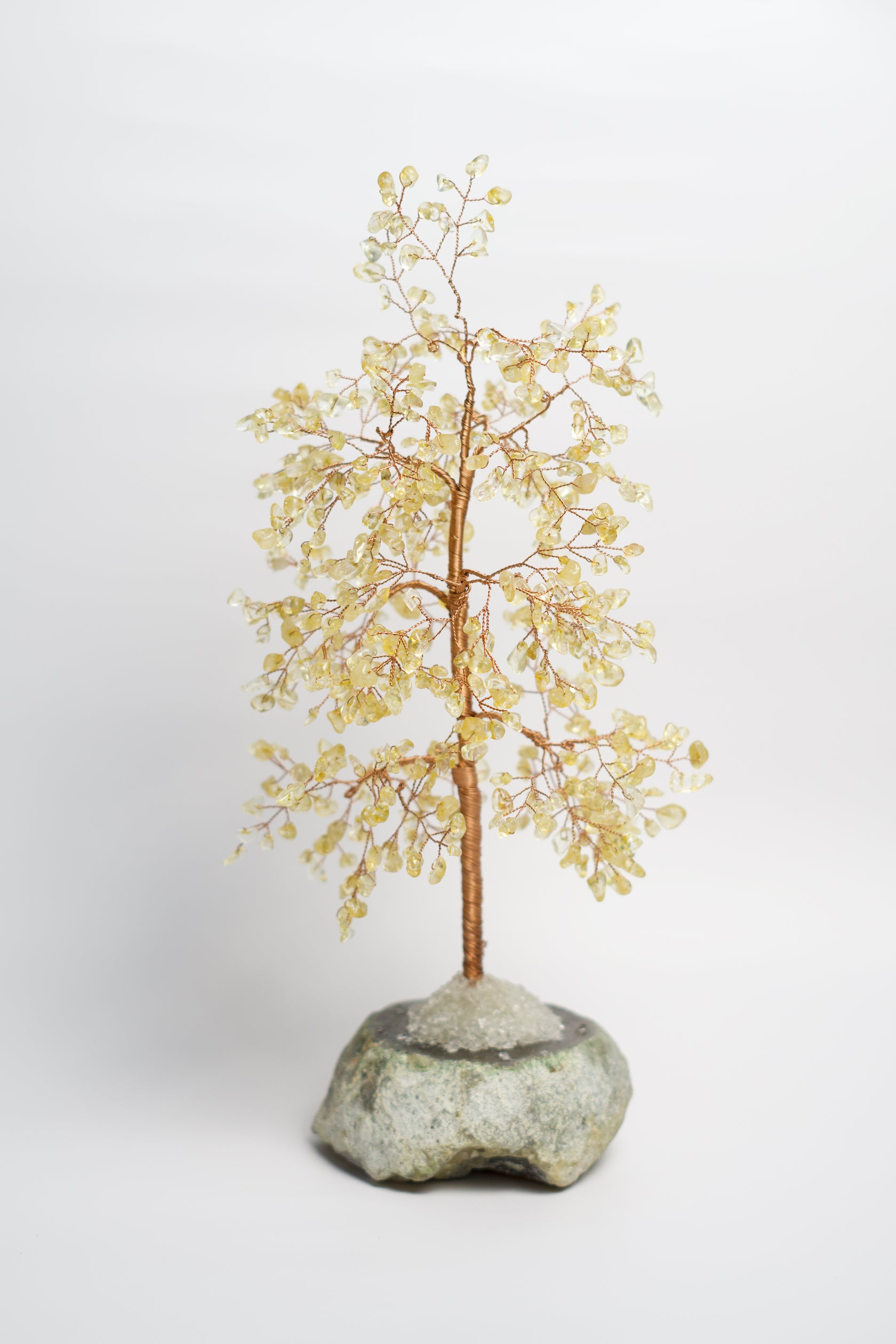 citrine crystal money tree LG MONEY TREE | CITRINE
