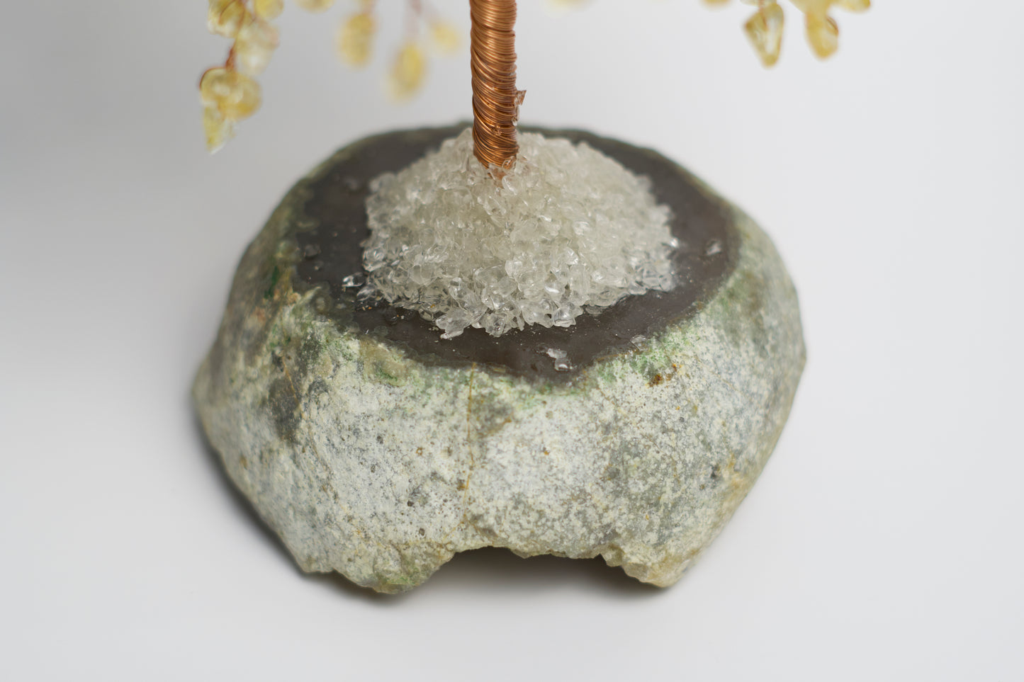 LG MONEY TREE | CITRINE | G105