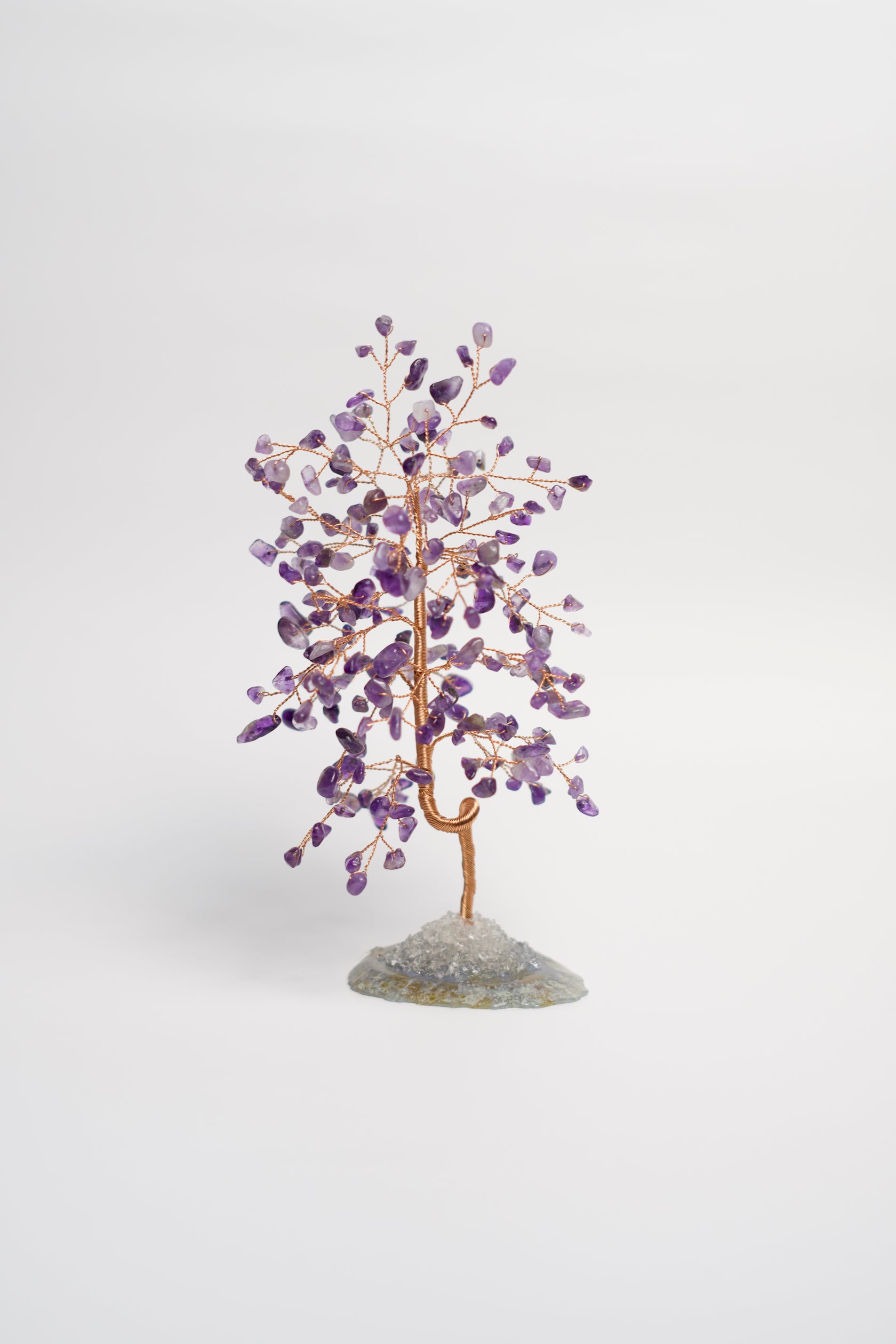 amethyst money tree meaning SM MONEY TREE | AMETHYST