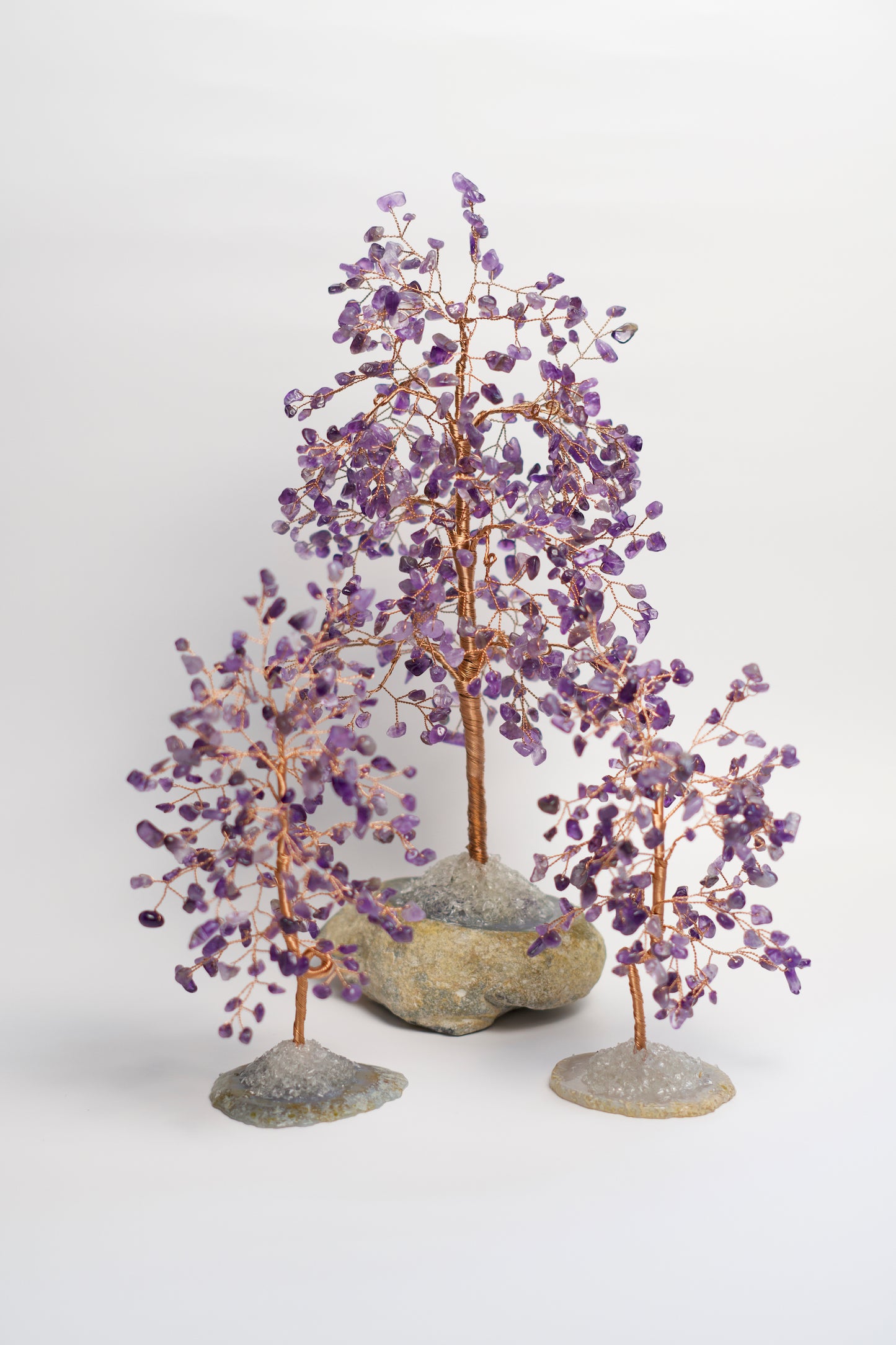 LG MONEY TREE | AMETHYST | G103