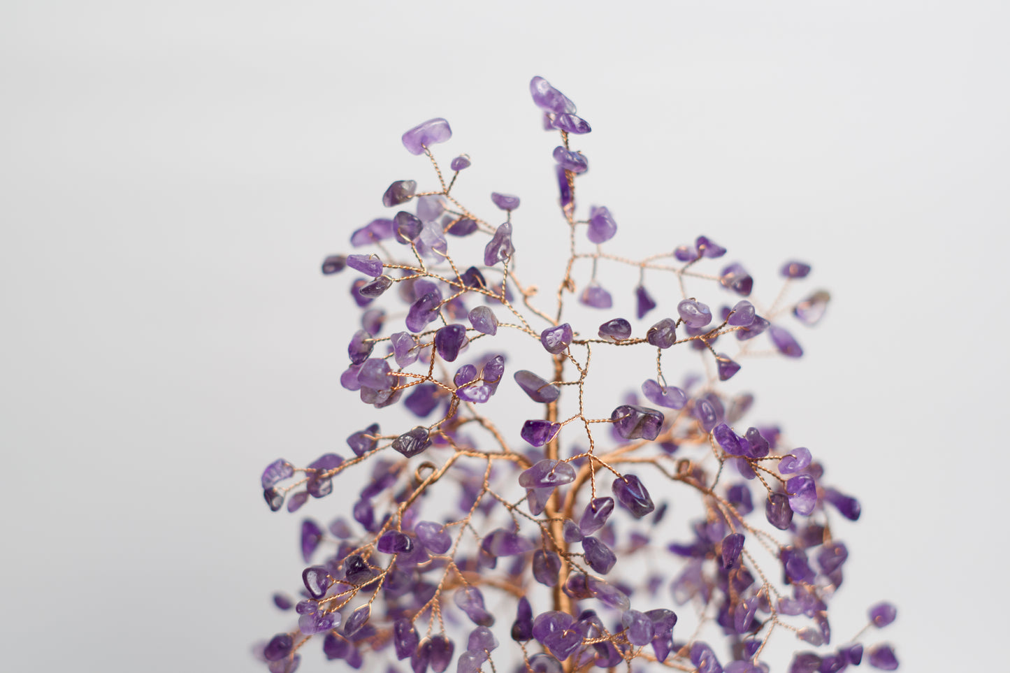 LG MONEY TREE | AMETHYST | G103