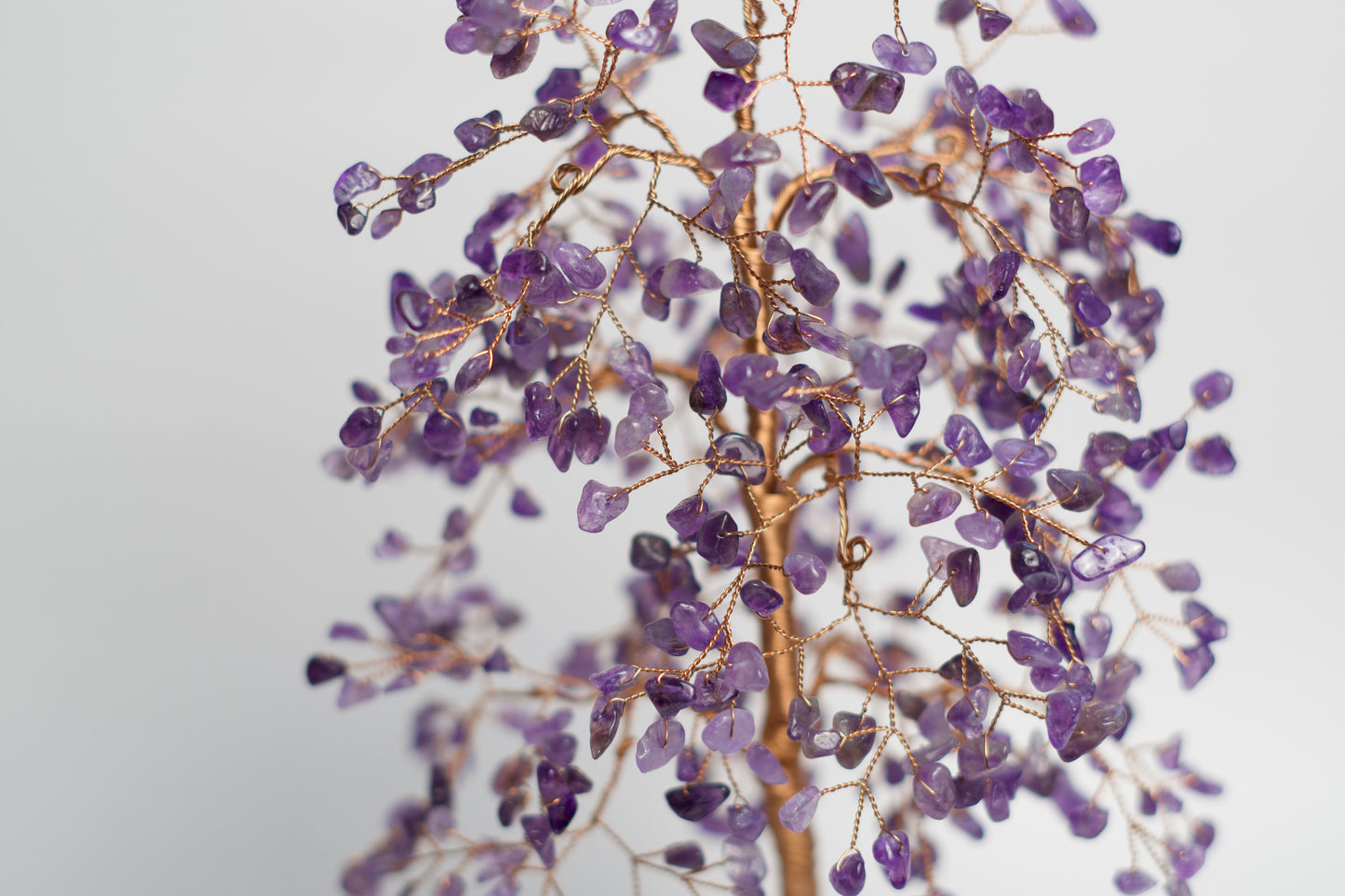 LG MONEY TREE | AMETHYST | G103