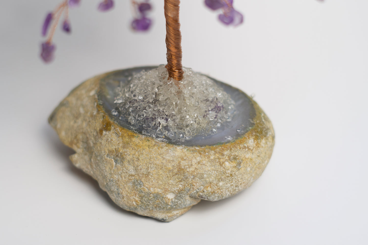 LG MONEY TREE | AMETHYST | G103