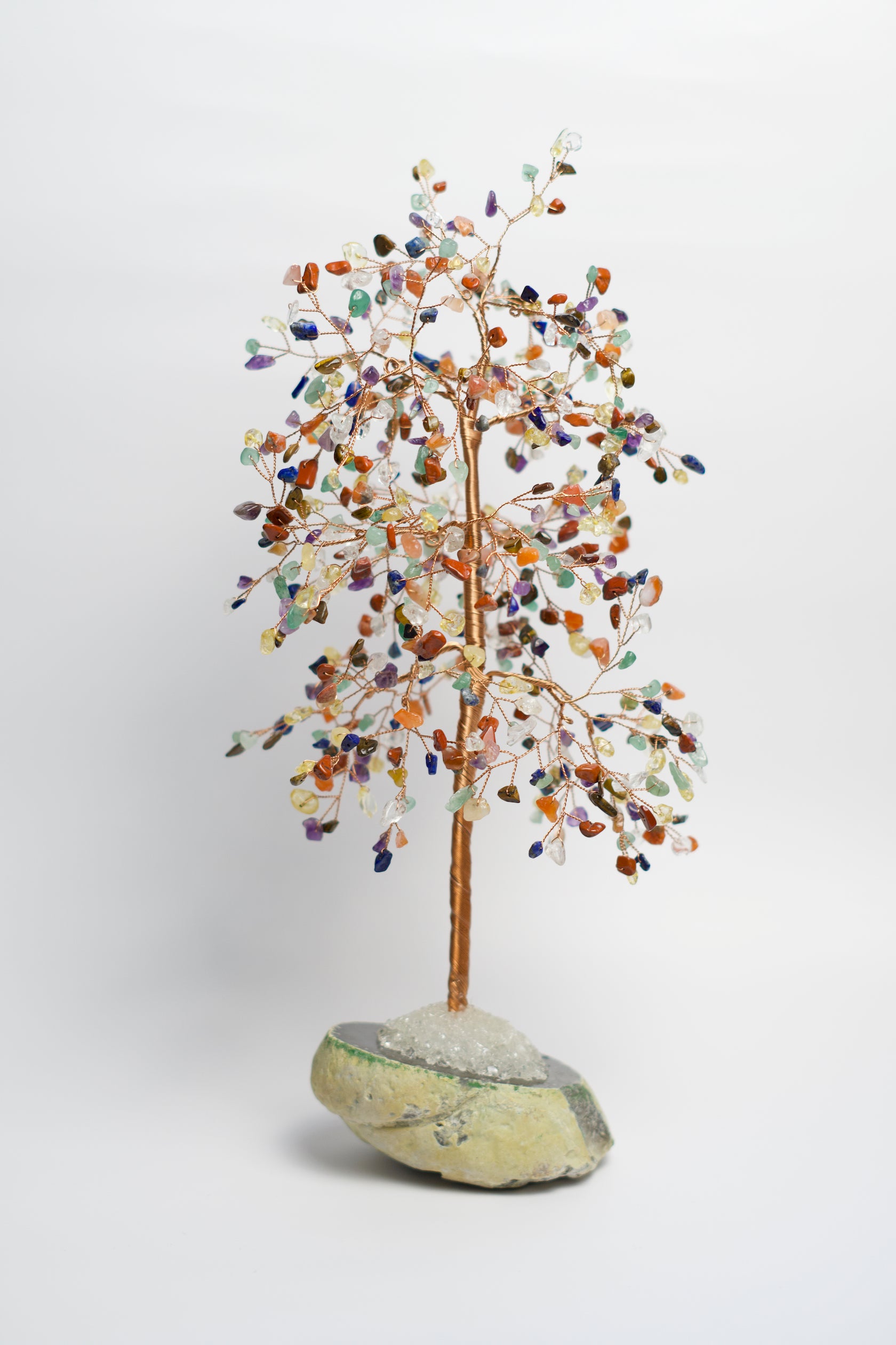tree of life money LG MONEY TREE | CHAKRA