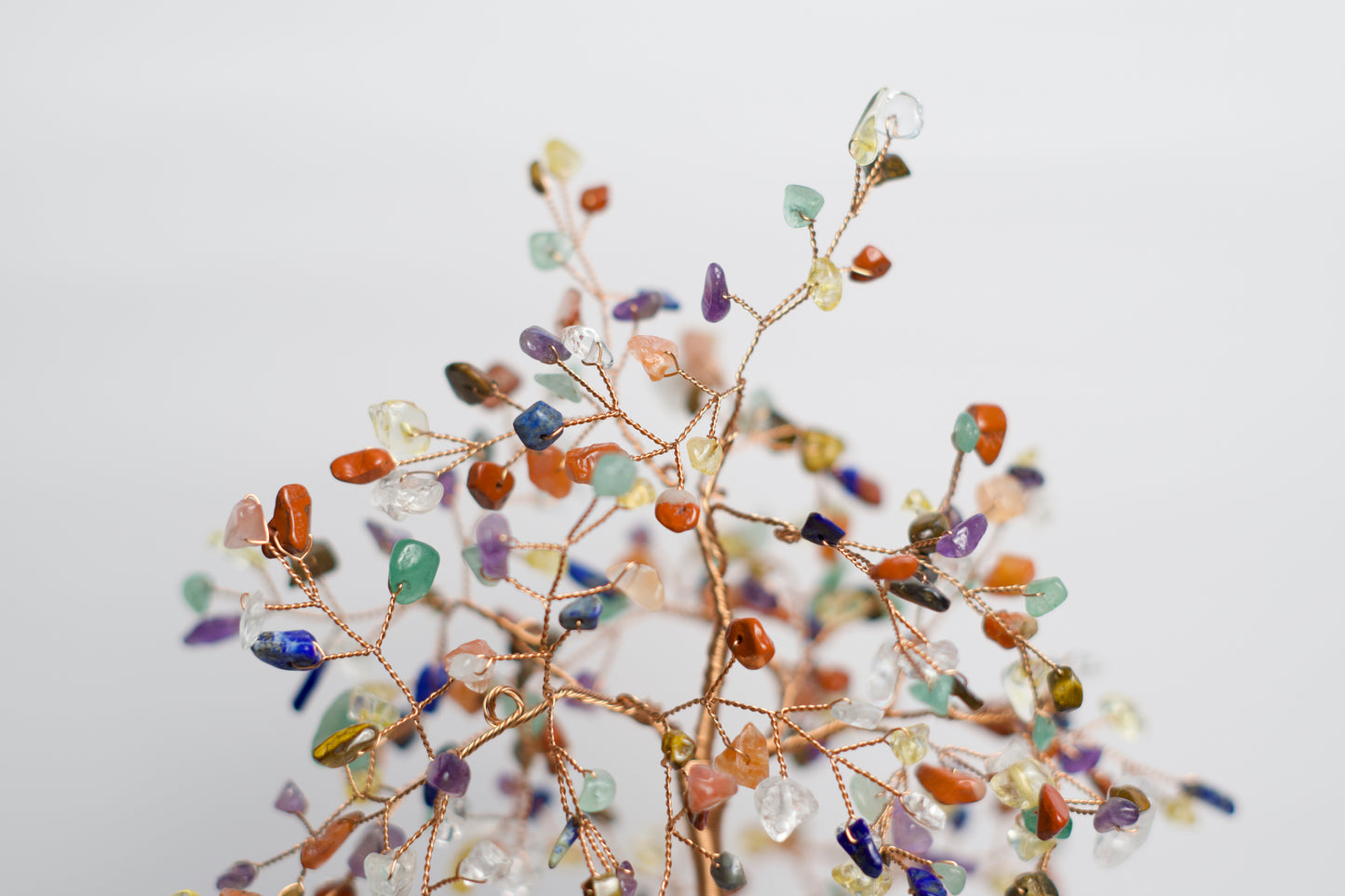 LG MONEY TREE | CHAKRA | G104