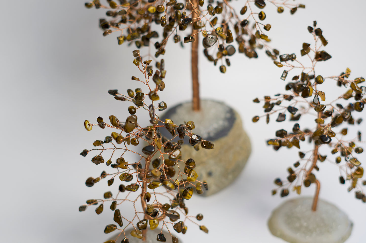 LG MONEY TREE | TIGER'S EYE | G108