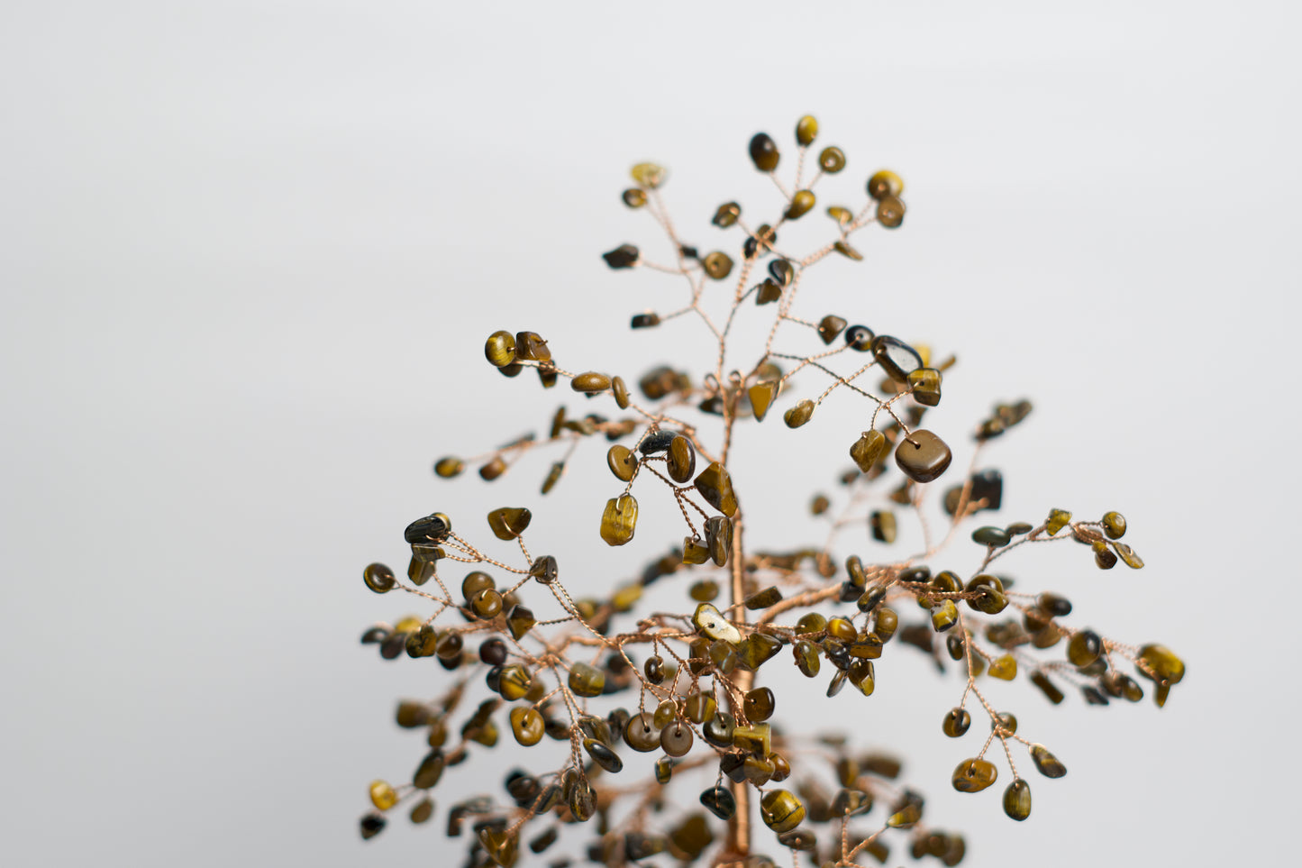 LG MONEY TREE | TIGER'S EYE | G108