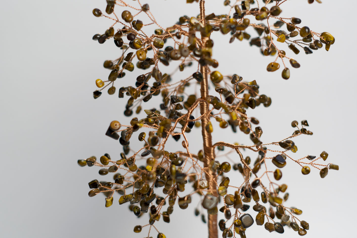LG MONEY TREE | TIGER'S EYE | G108
