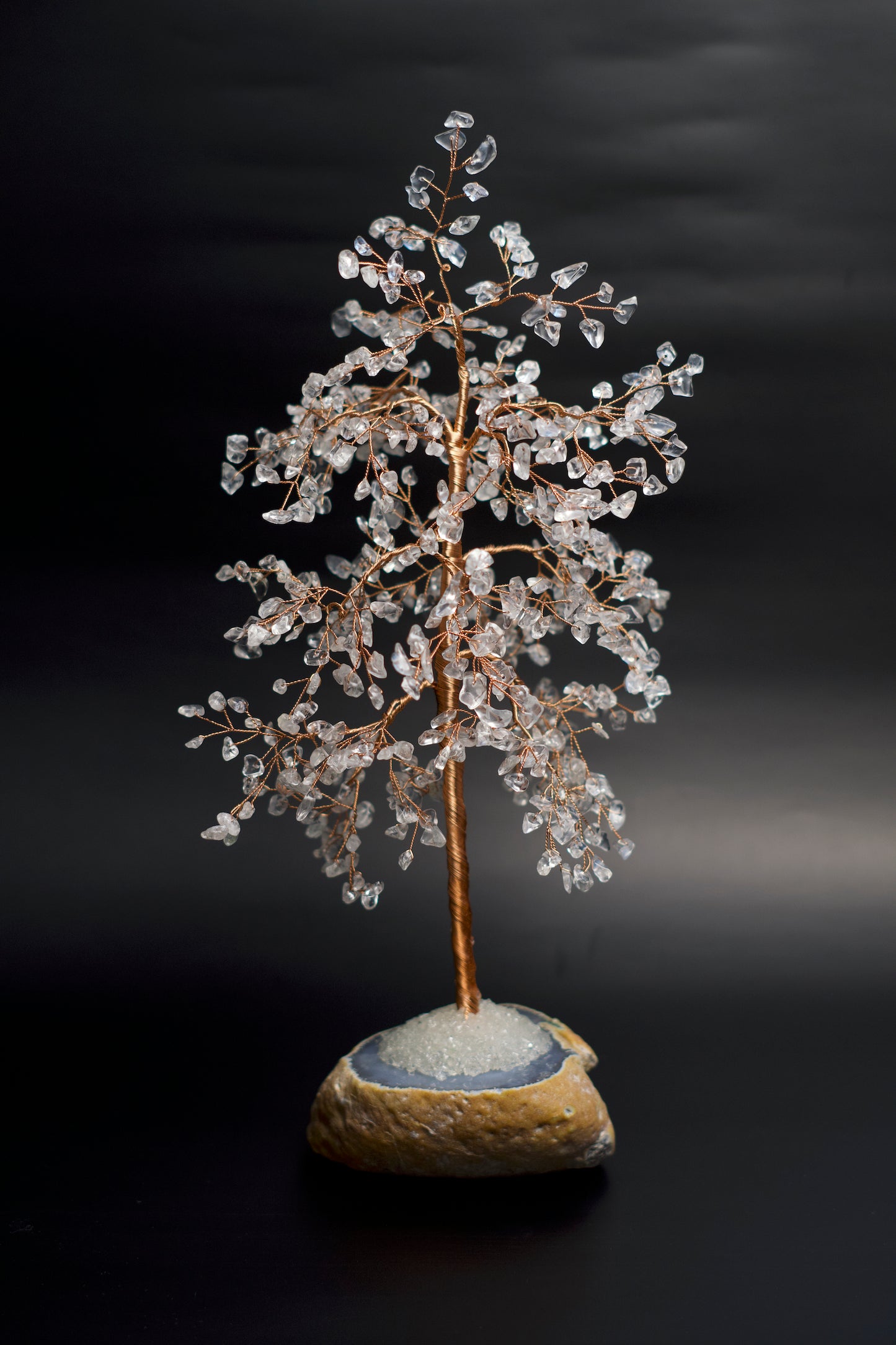 LG MONEY TREE | CLEAR QUARTZ | G106