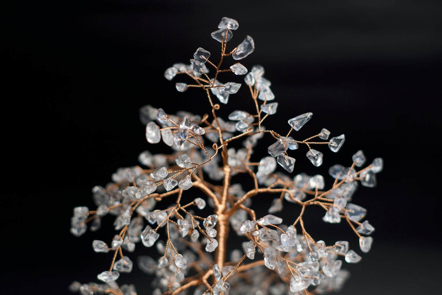 LG MONEY TREE | CLEAR QUARTZ | G106
