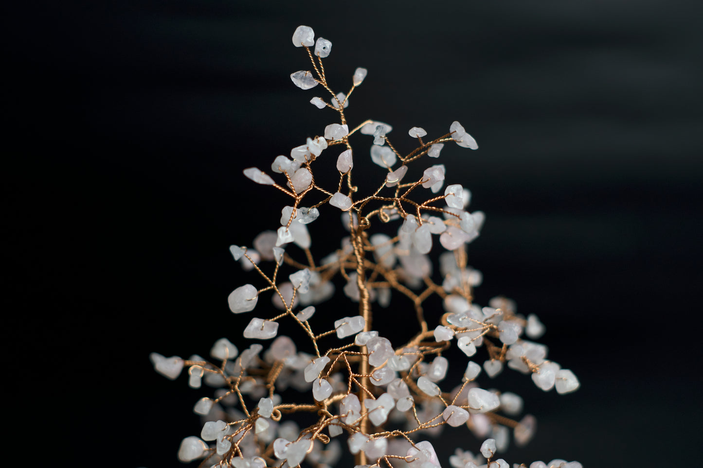 LG MONEY TREE | ROSE QUARTZ | G107