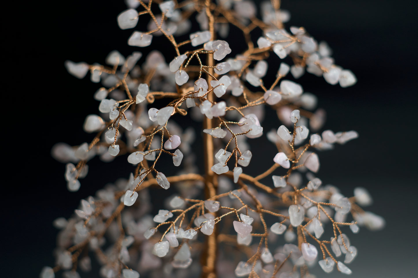 LG MONEY TREE | ROSE QUARTZ | G107