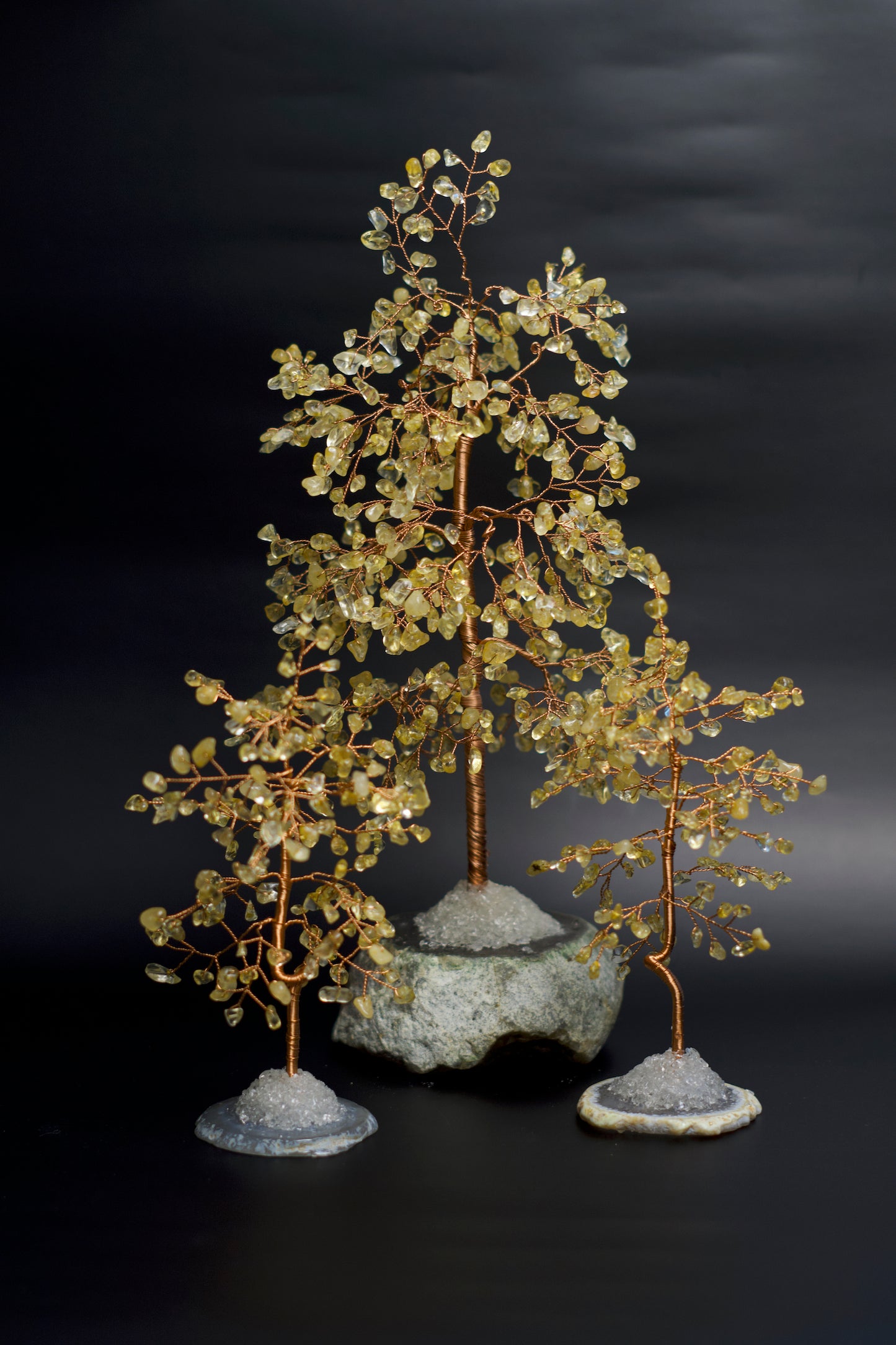 LG MONEY TREE | CITRINE | G105