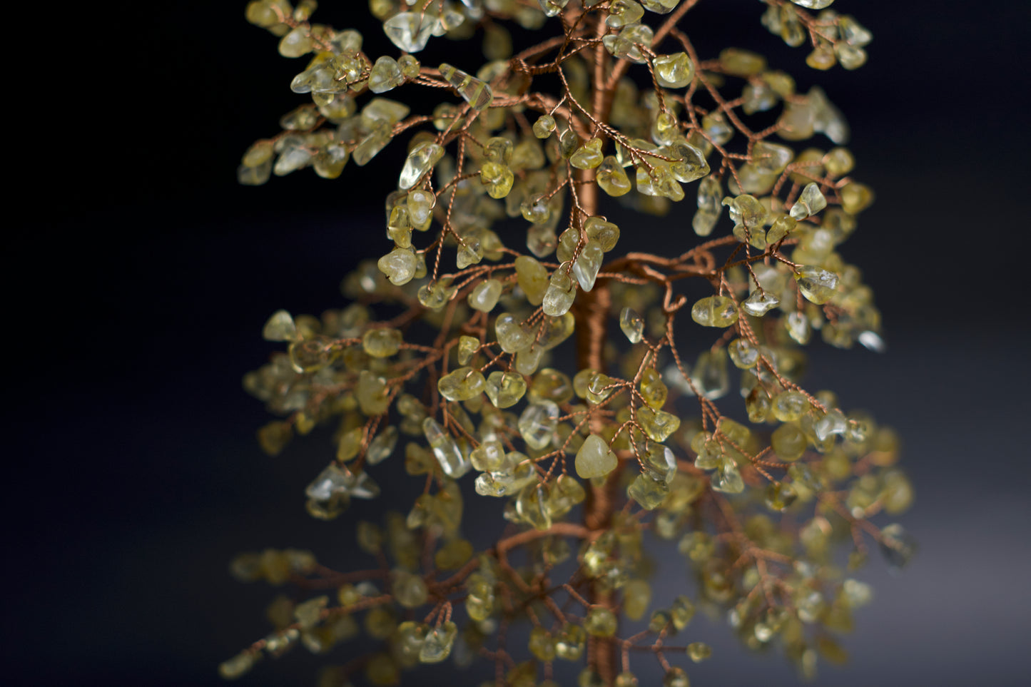 LG MONEY TREE | CITRINE | G105