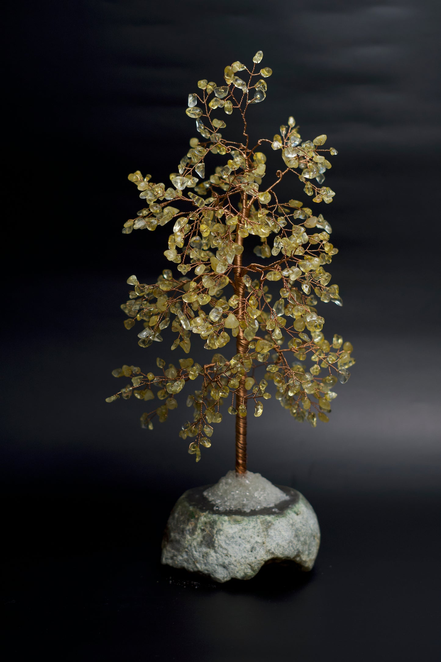 LG MONEY TREE | CITRINE | G105