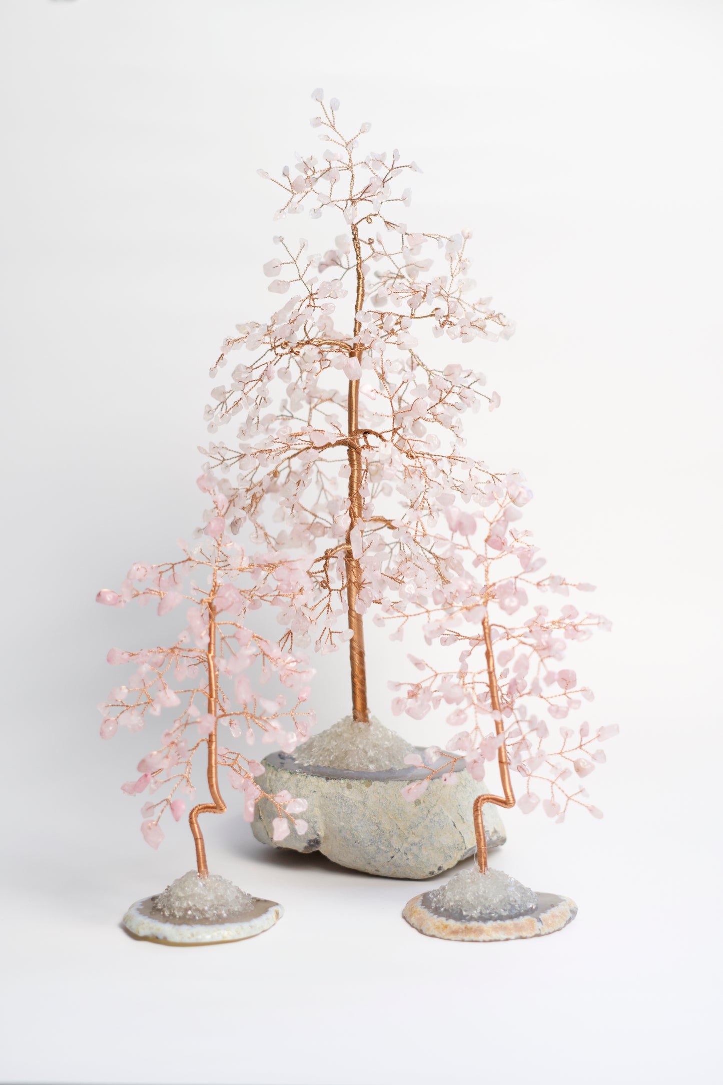 LG MONEY TREE | ROSE QUARTZ | G107
