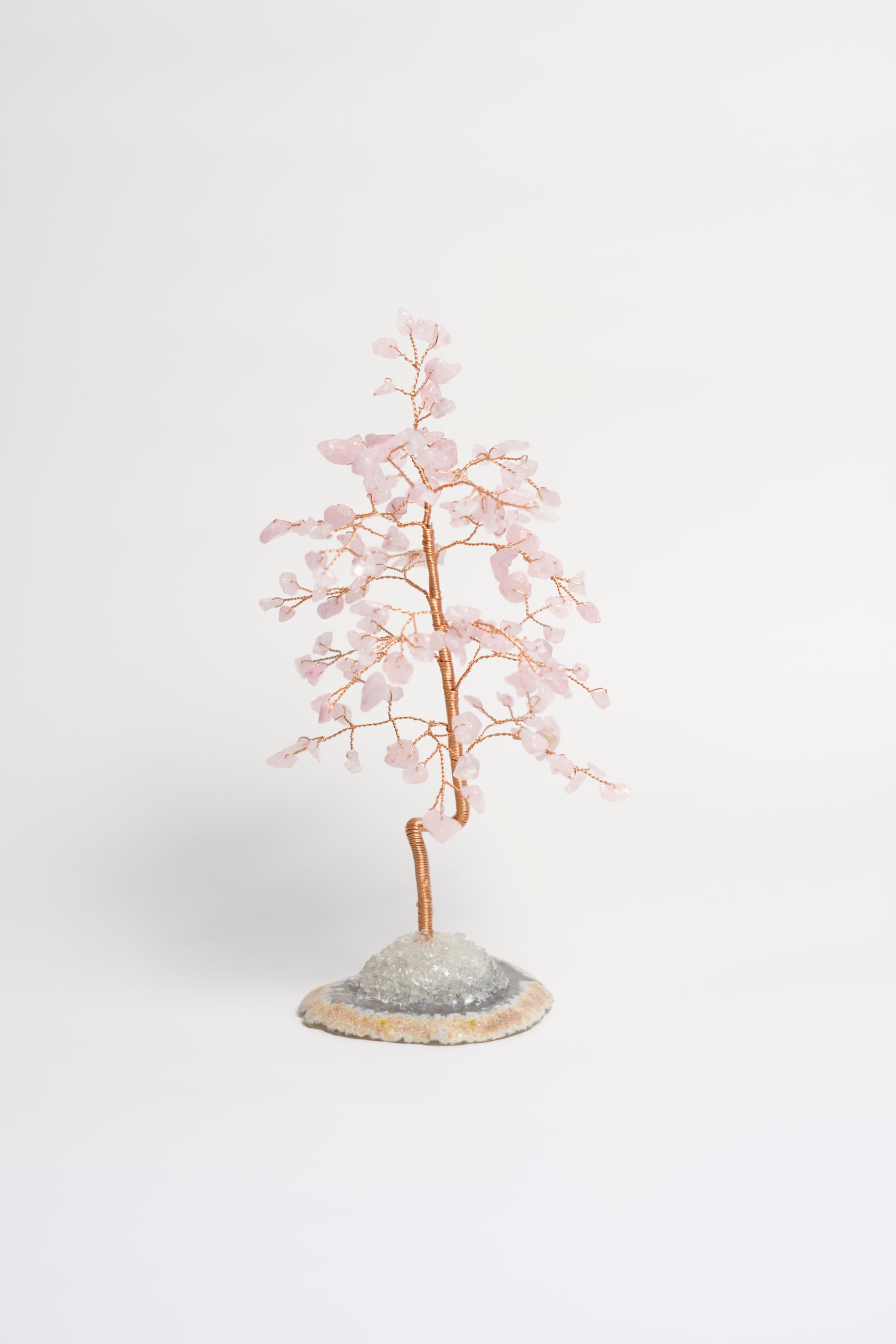 rose quartz healing crystals money tree SM MONEY TREE | ROSE QUARTZ