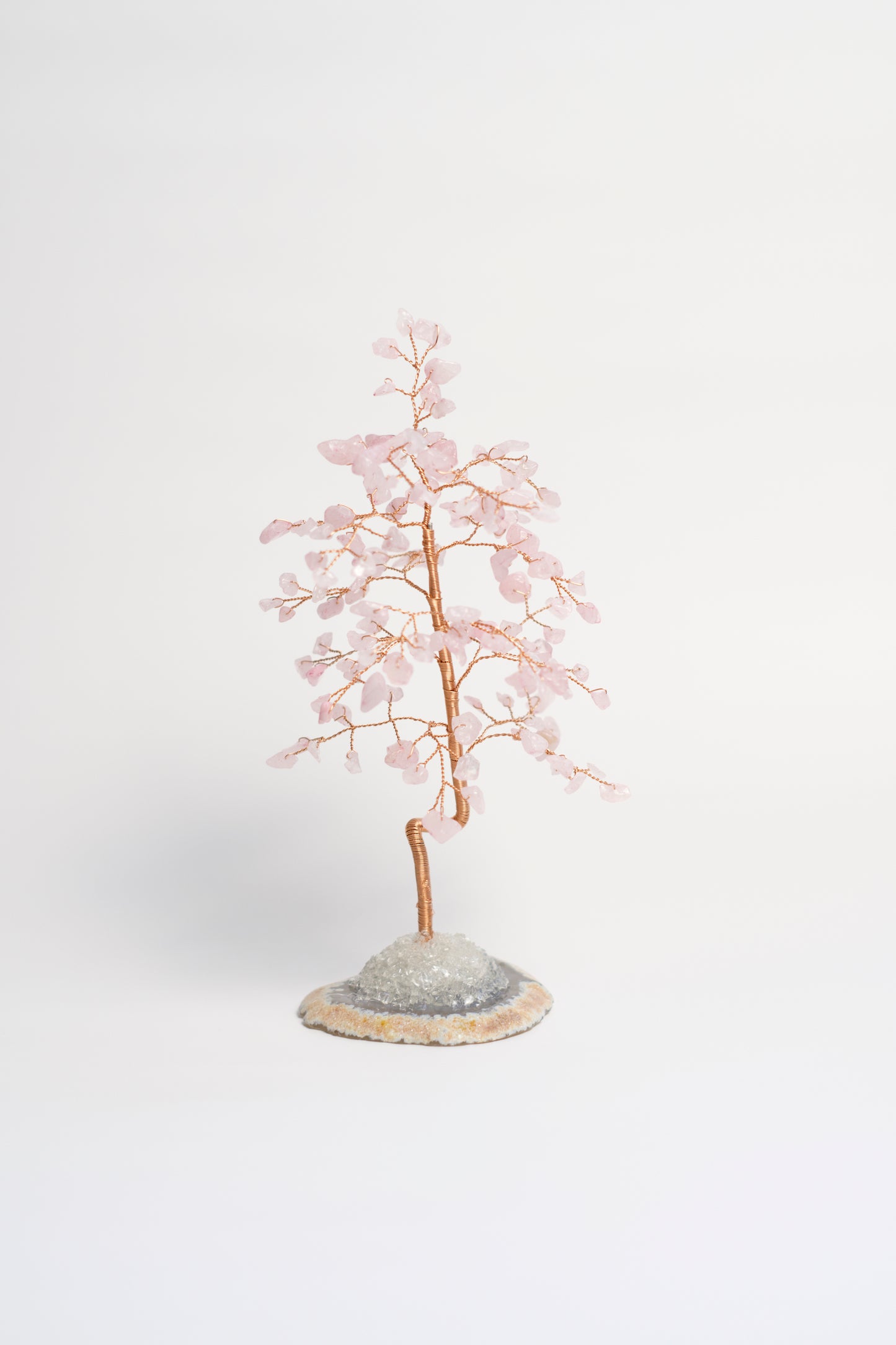 SM MONEY TREE | ROSE QUARTZ | G130