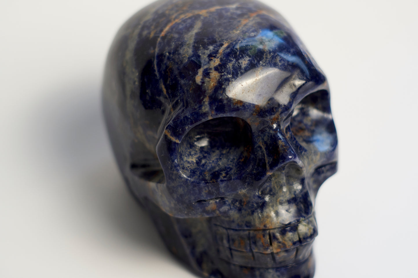 LG SKULL | SODALITE | G109
