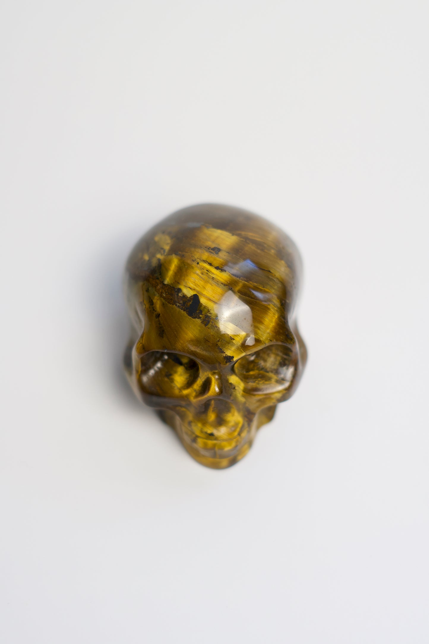 MD SKULL | TIGER'S EYE | G118