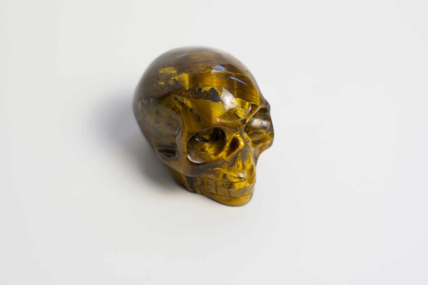 MD SKULL | TIGER'S EYE | G118