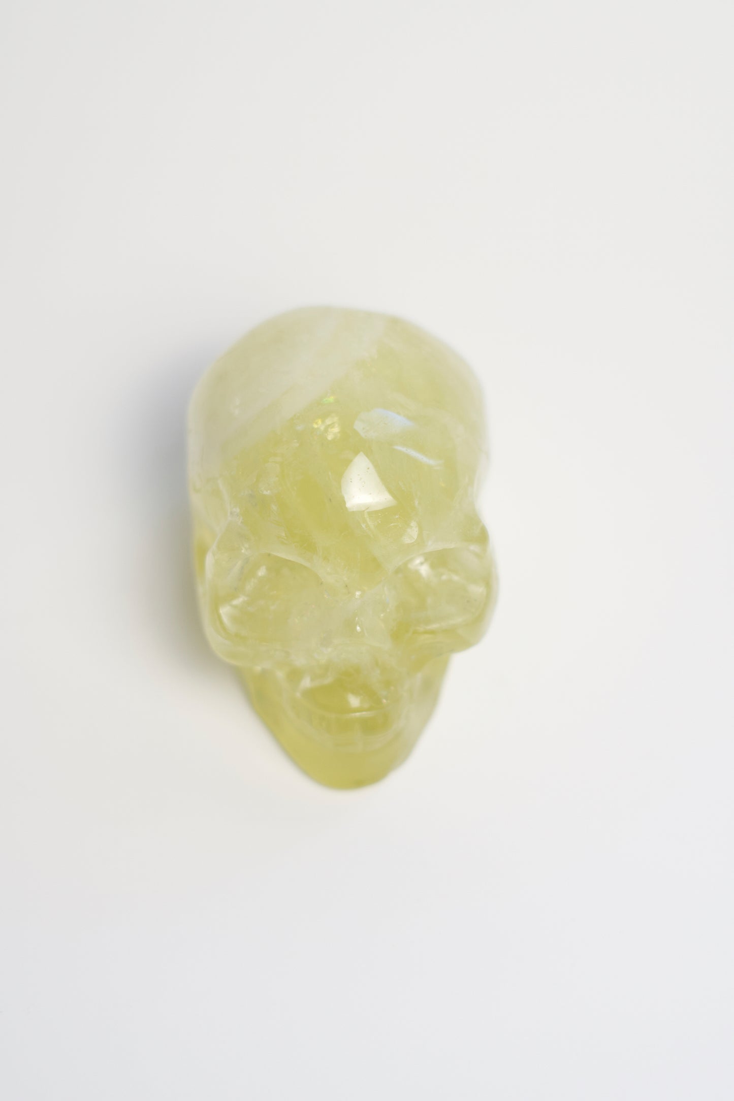 MD SKULL | CITRINE | G116