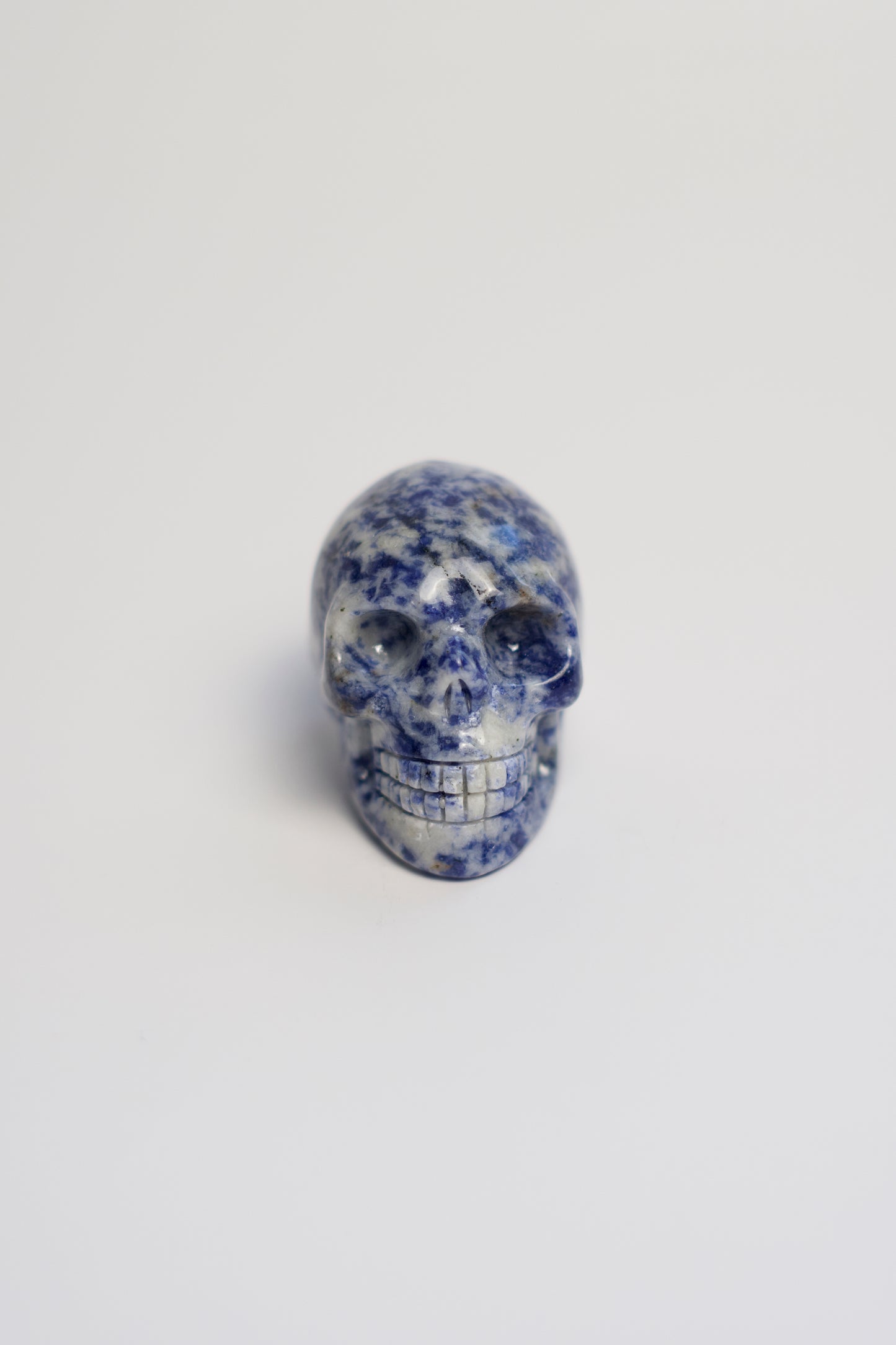 SM SKULL | SODALITE | G139