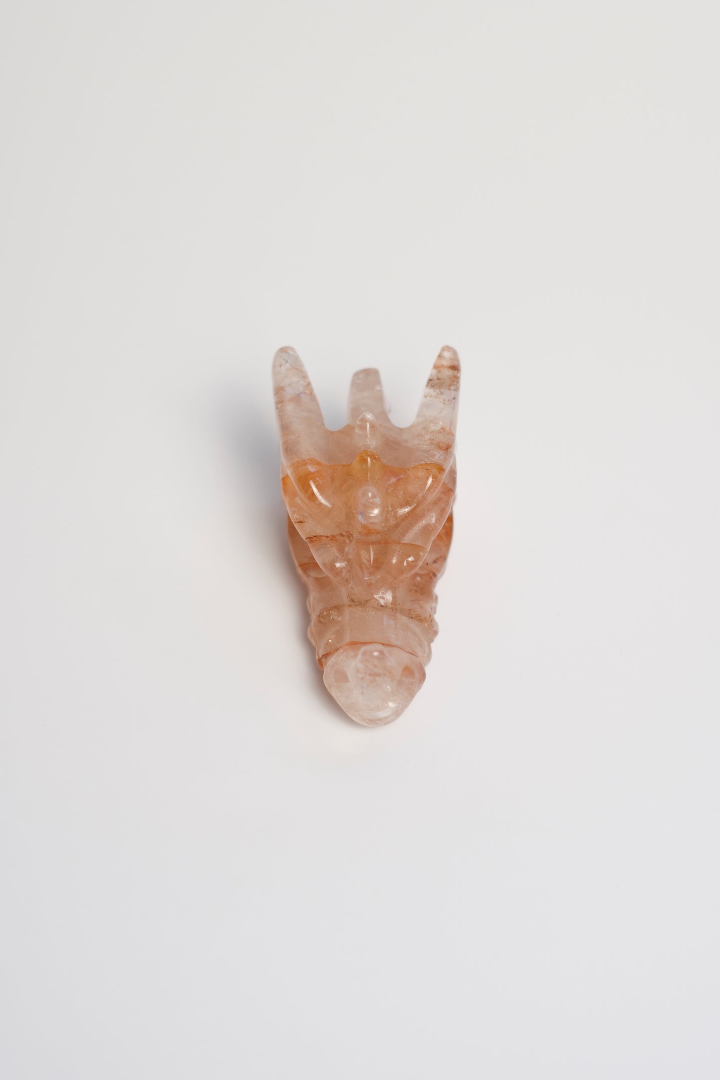 SM DRAGON HEAD | FIRE QUARTZ | G123