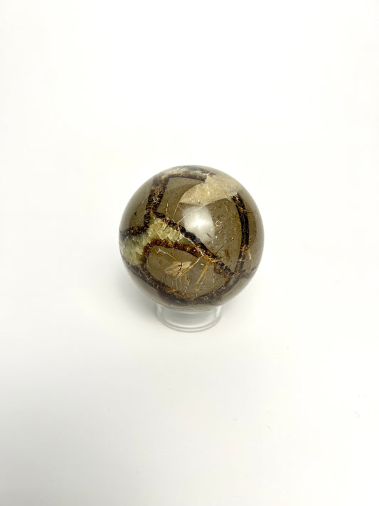 SEPTARIAN | DARAGON STONE SPHERE | G145