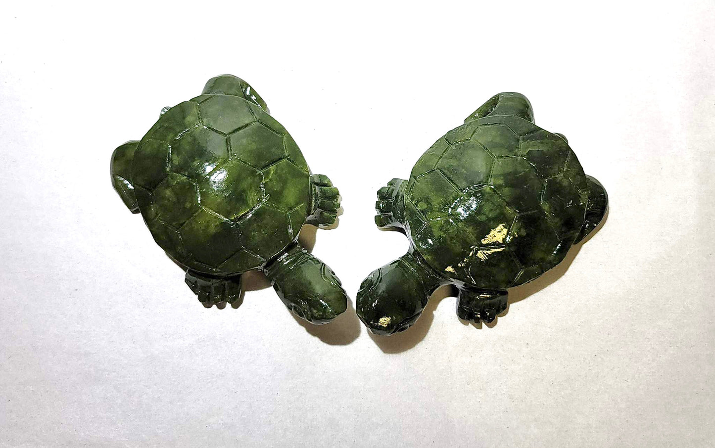JADE SEA TURTLES | H103