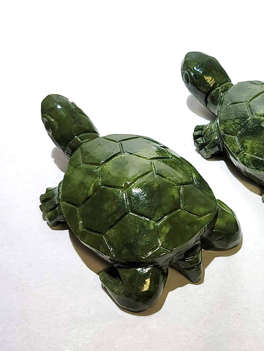 JADE SEA TURTLES | H103