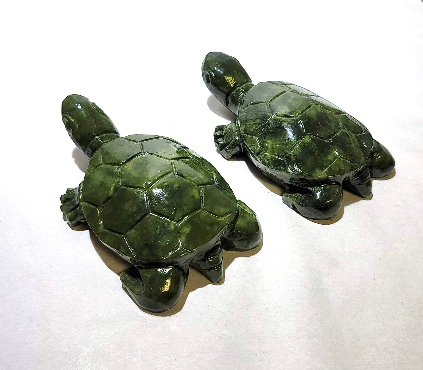 JADE SEA TURTLES | H103