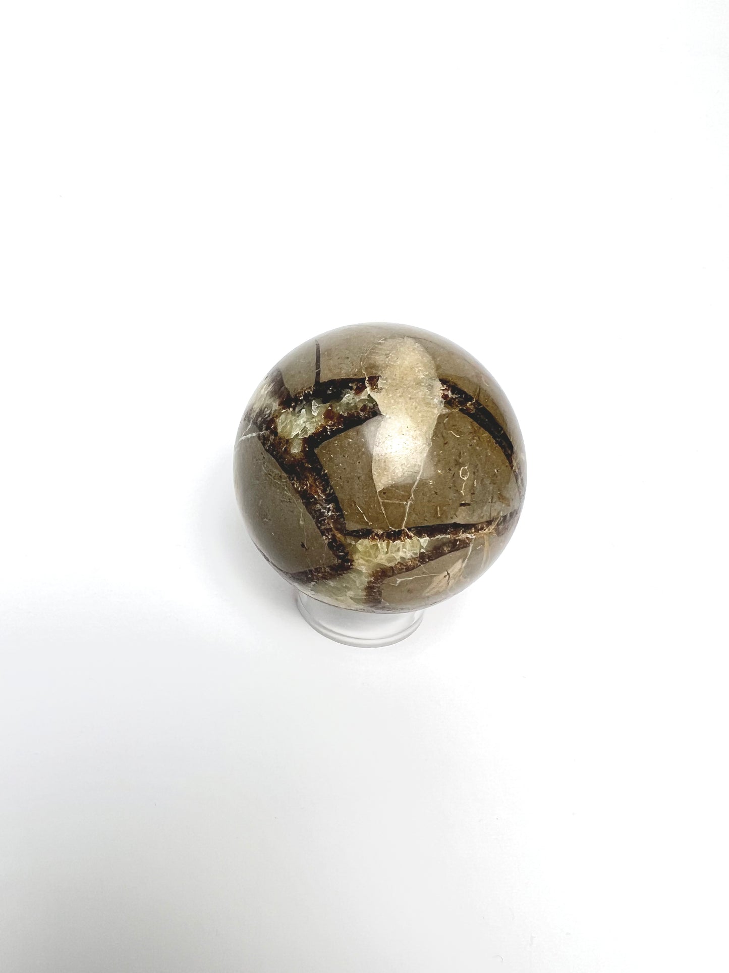 SEPTARIAN | DARAGON STONE SPHERE | G145
