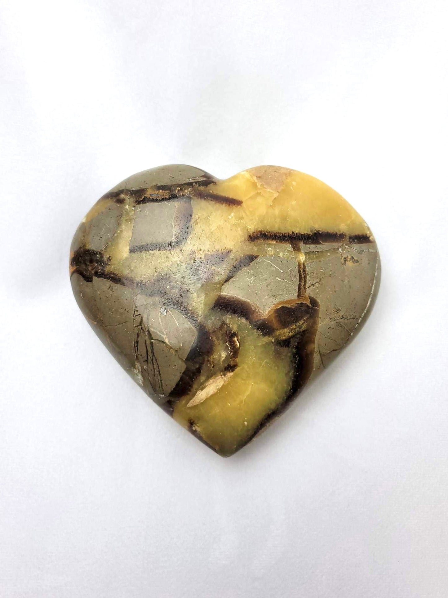 SEPTARIAN (DRAGON STONE) HEART | H134