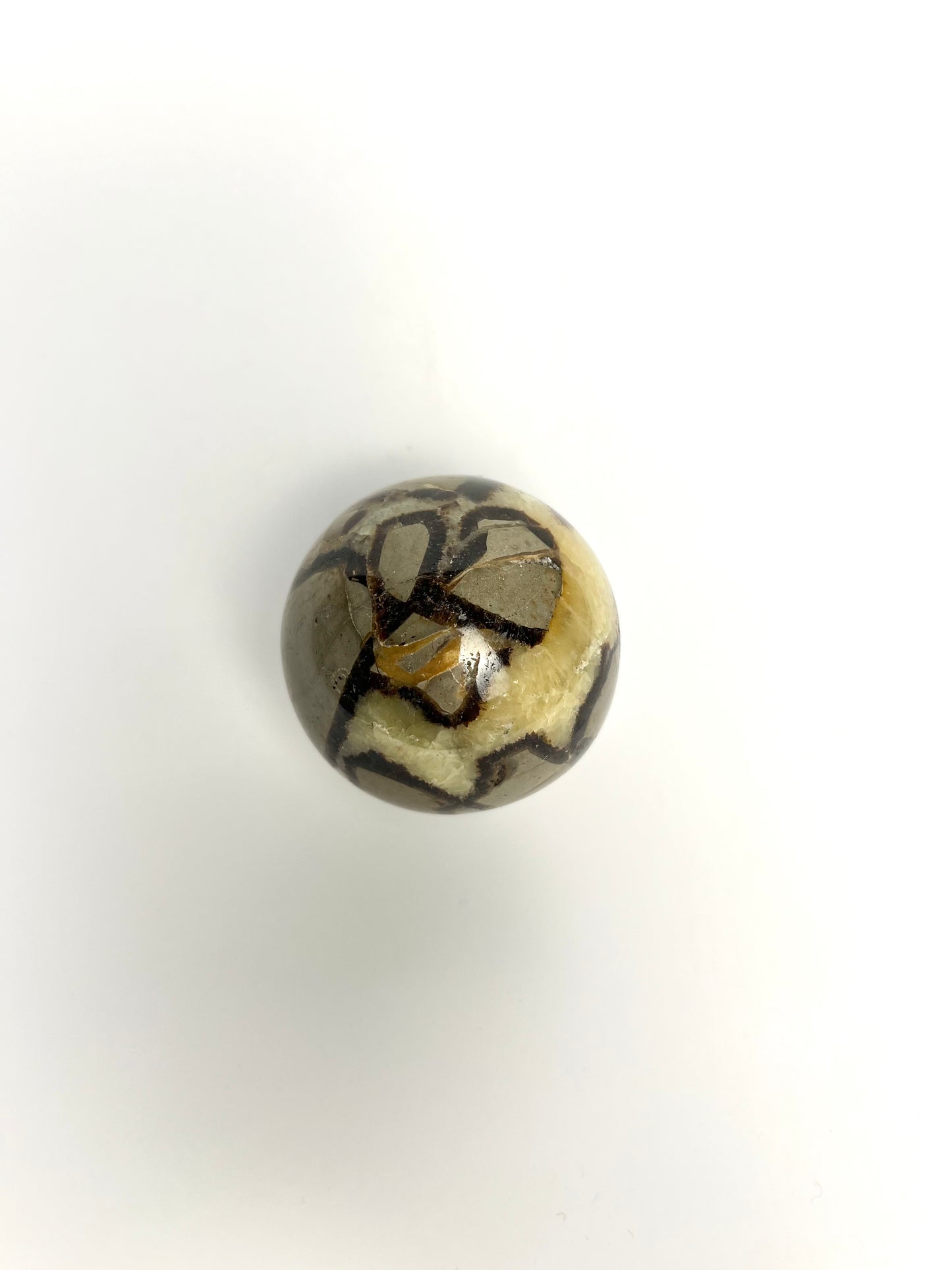 SEPTARIAN | DARAGON STONE SPHERE | G144