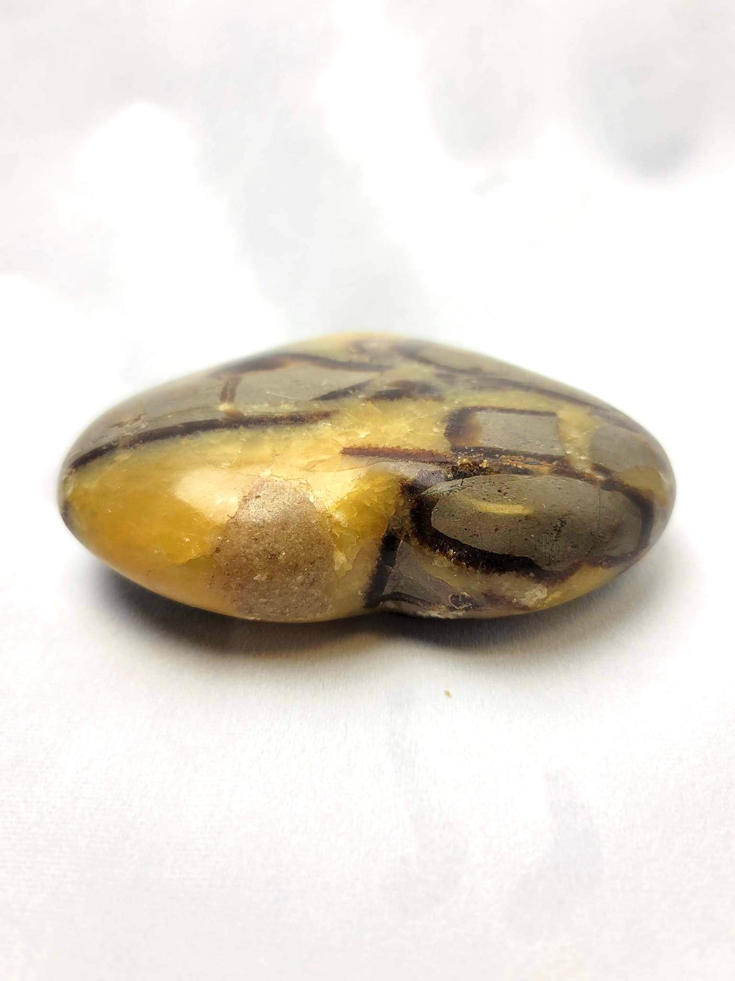 SEPTARIAN (DRAGON STONE) HEART | H134
