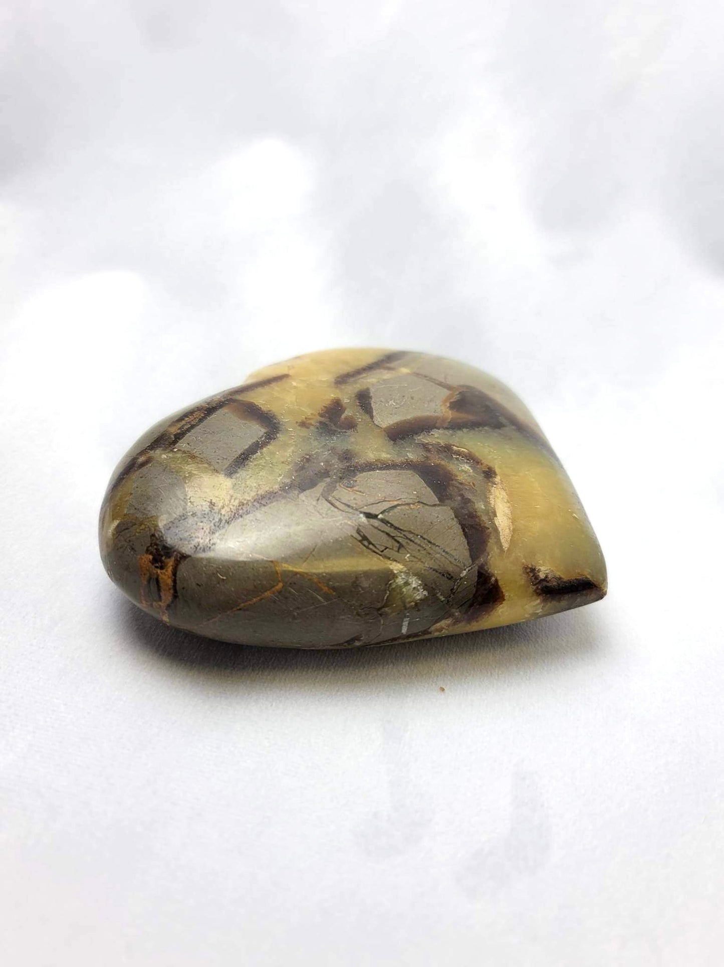 SEPTARIAN (DRAGON STONE) HEART | H134