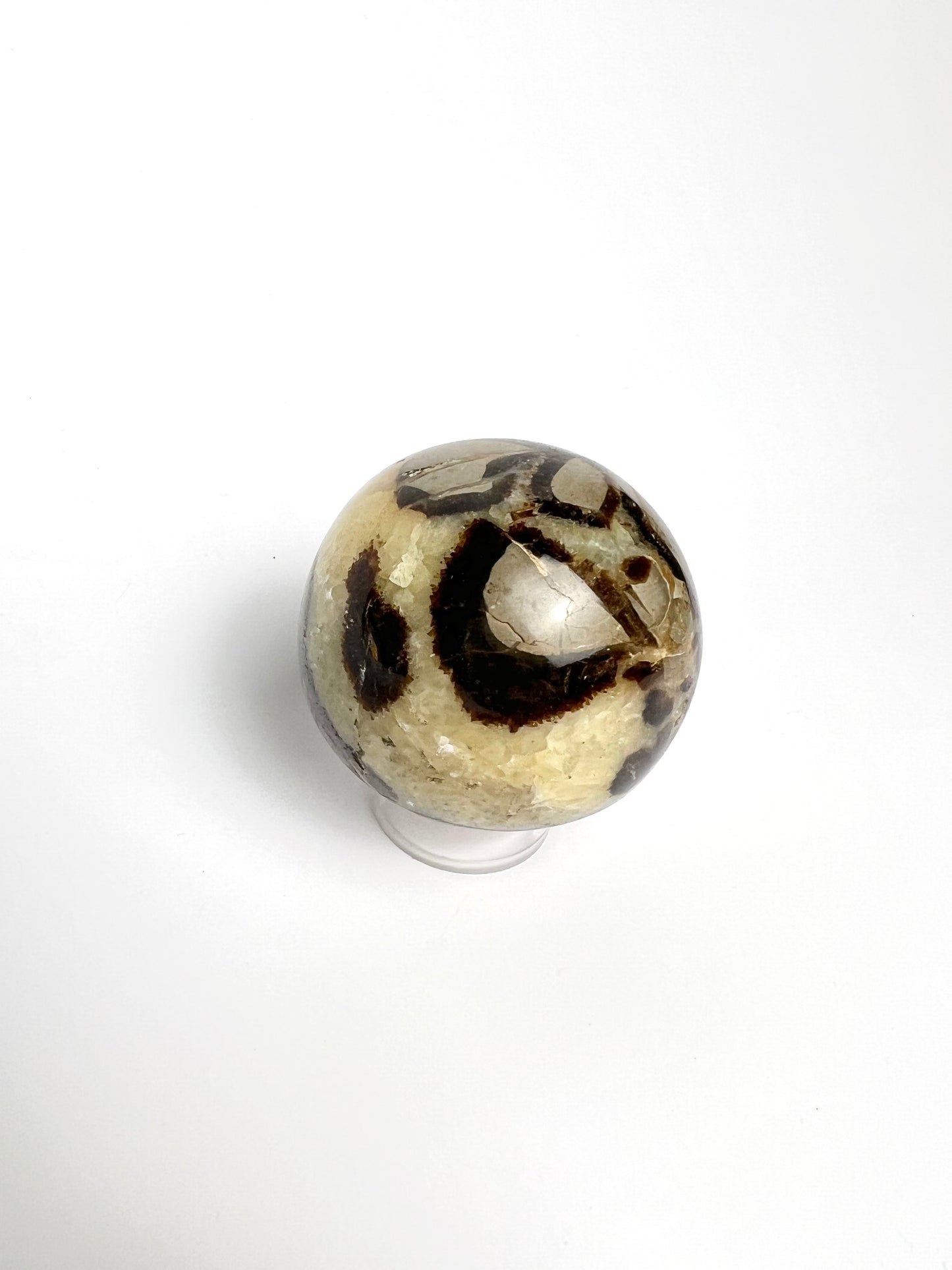 SEPTARIAN | DARAGON STONE SPHERE | G144