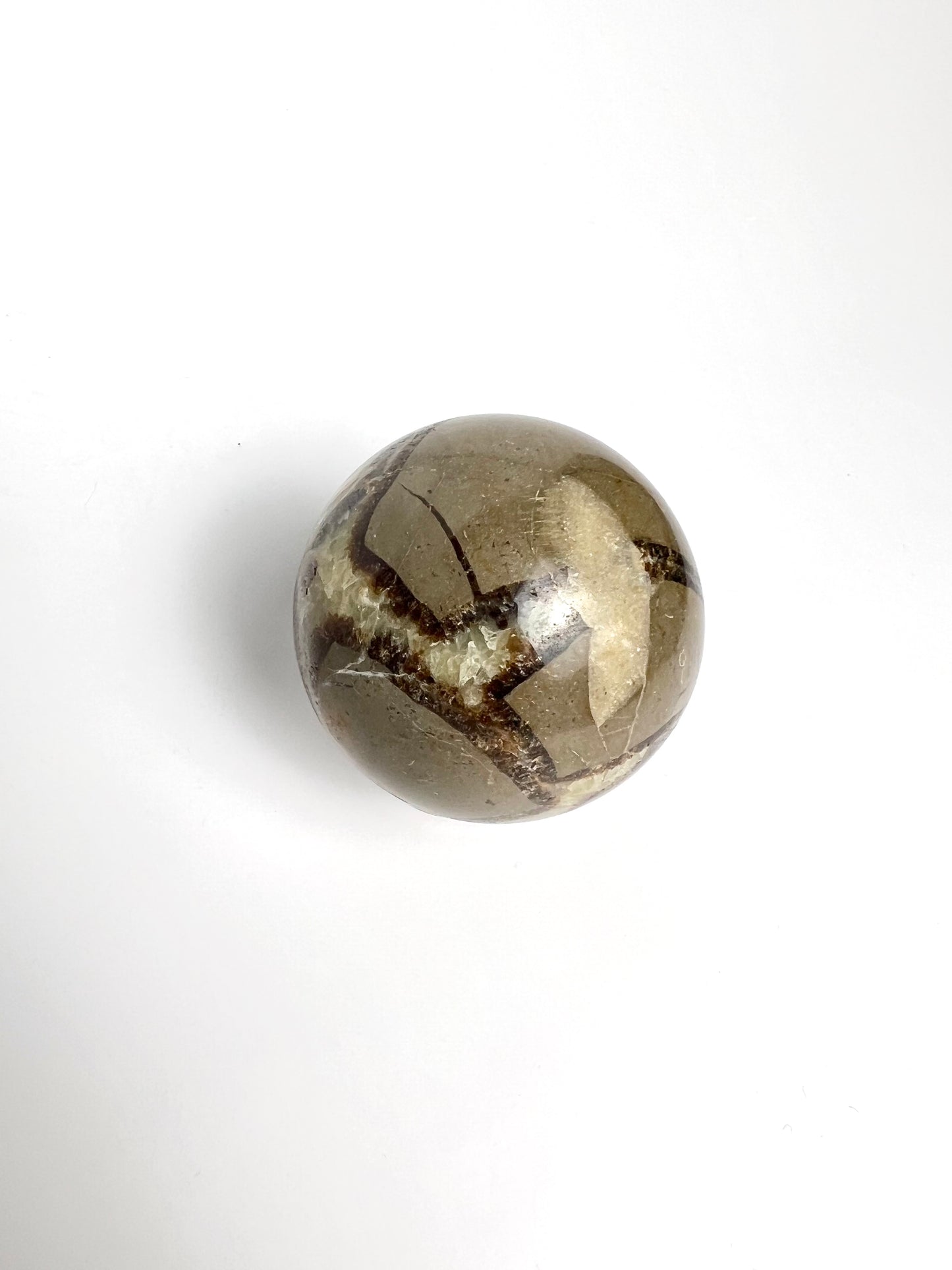 SEPTARIAN | DARAGON STONE SPHERE | G145