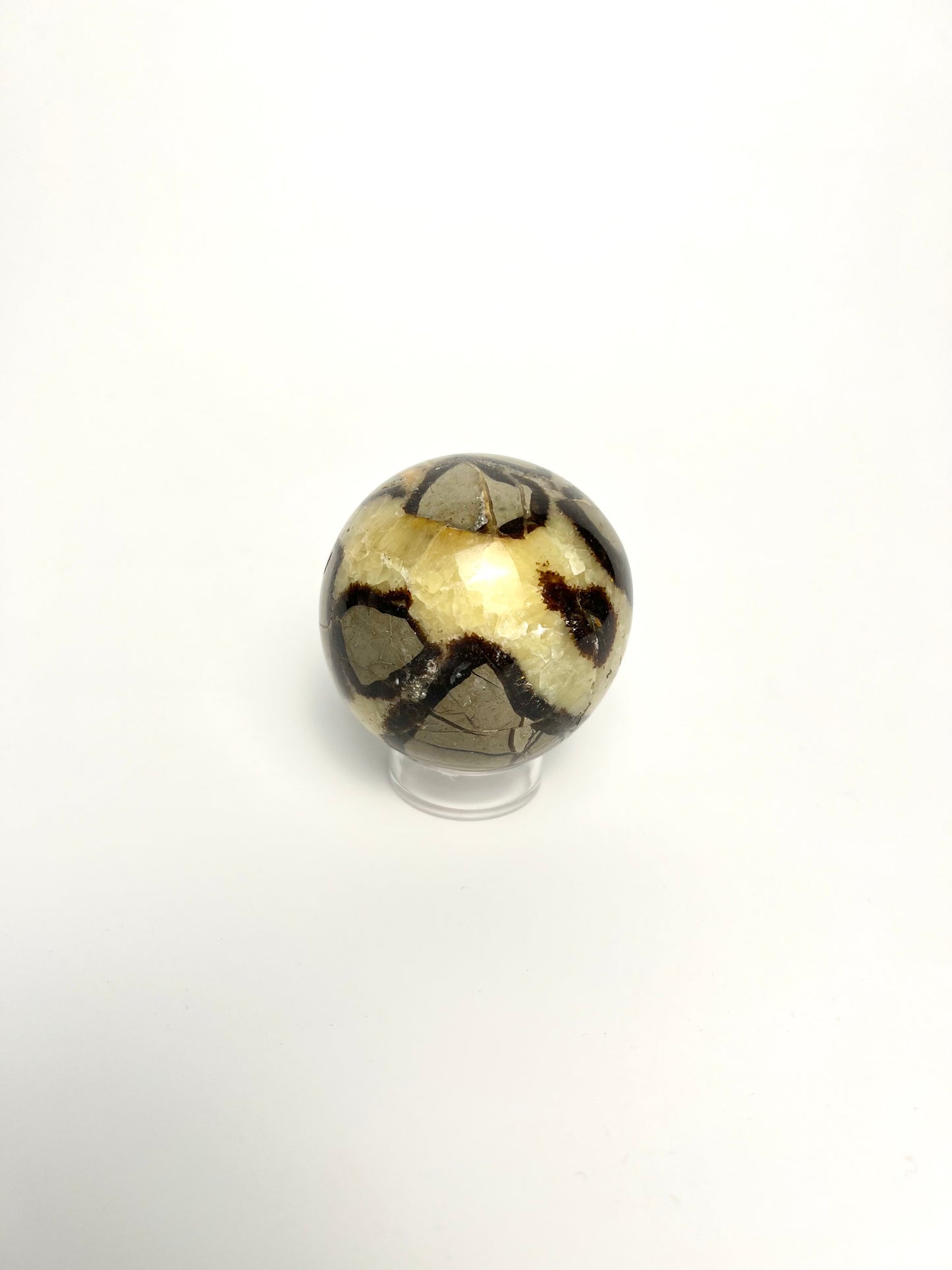 SEPTARIAN | DARAGON STONE SPHERE | G144