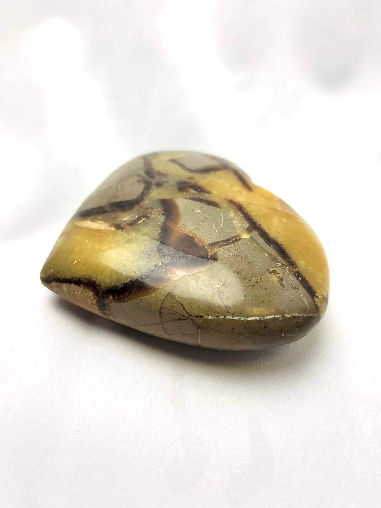 SEPTARIAN (DRAGON STONE) HEART | H134