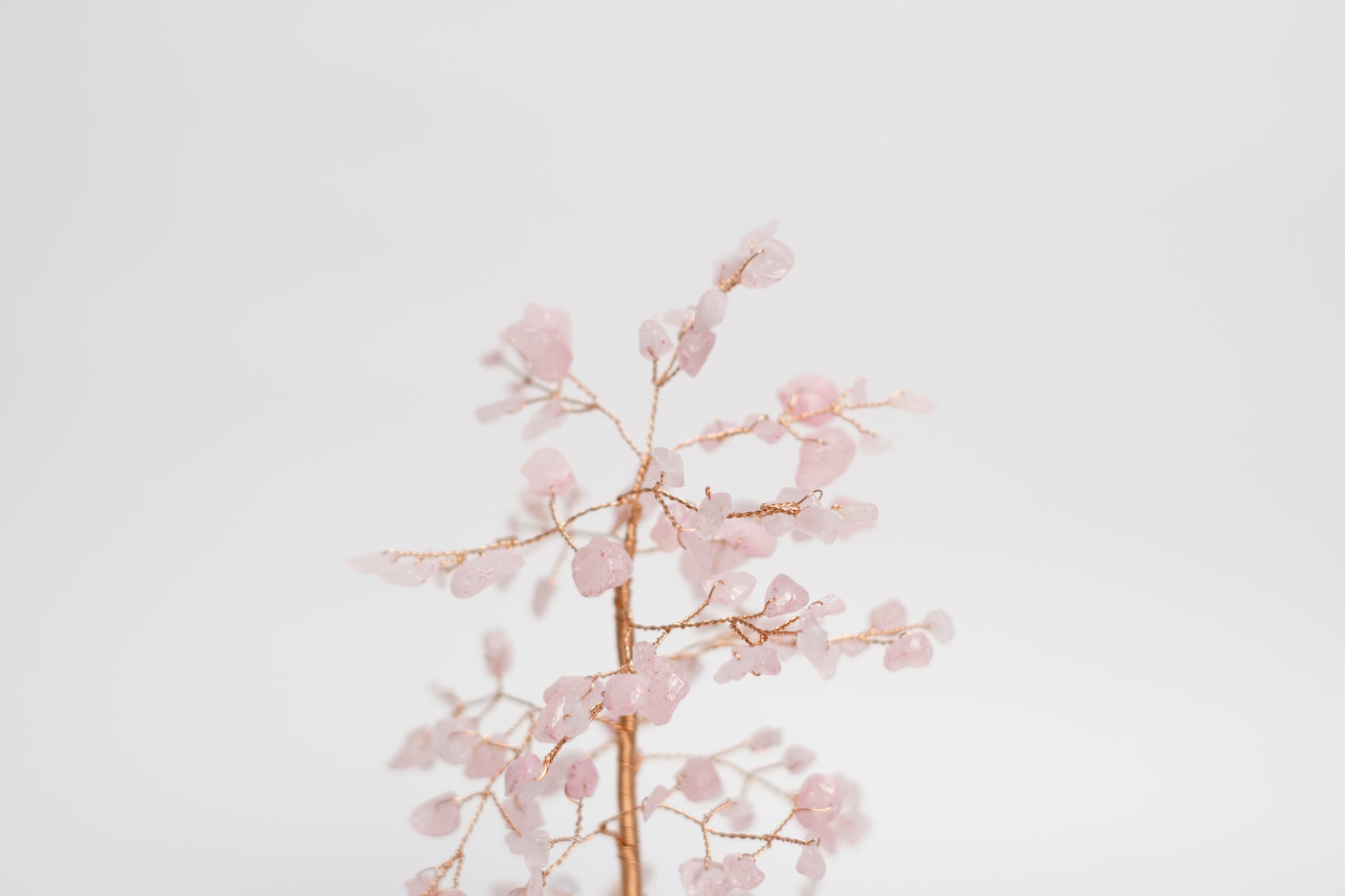 rose quartz money tree meaning SM MONEY TREE | ROSE QUARTZ